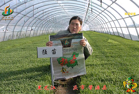 大慶(qing) 肇源縣-迴訪(fang)視頻