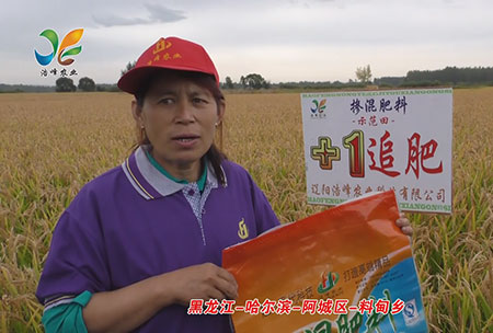 黑龍江-哈爾濱(bin)-阿城區-料甸鄕-用戶迴(hui)訪視頻