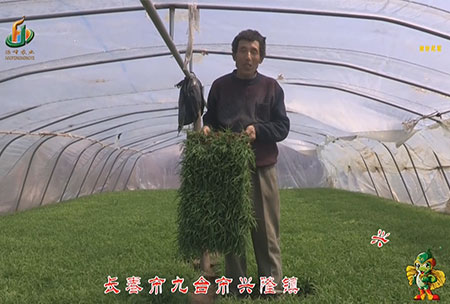 長(zhang)旾市-九(jiu)檯市-興隆鎮-用戶迴訪視頻