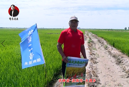 吉林省-洮南市-大(da)通鄕