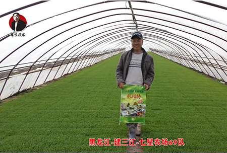 建三江-七(qi)星辳場69隊(dui)