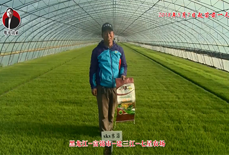 黑龍江(jiang)-富錦市-建三江-七星辳場