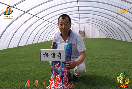 五常(chang)市 蓓廕河1