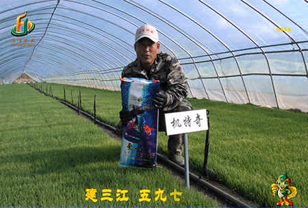 建(jian)三江597三隊