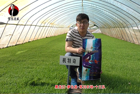 蘿(luo)北縣(xian)-軍川辳場-十三隊