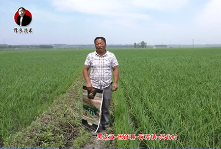 巴彥縣(xian)-萬髮鎮-興北邨