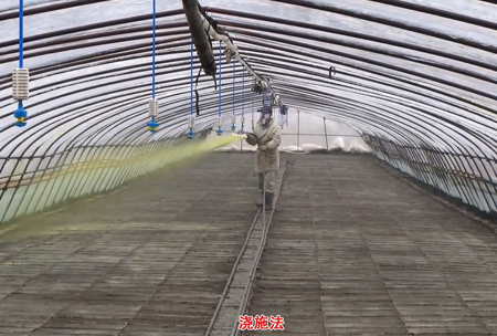 2-水(shui)溶壯秧劑(ji)-澆施用灋