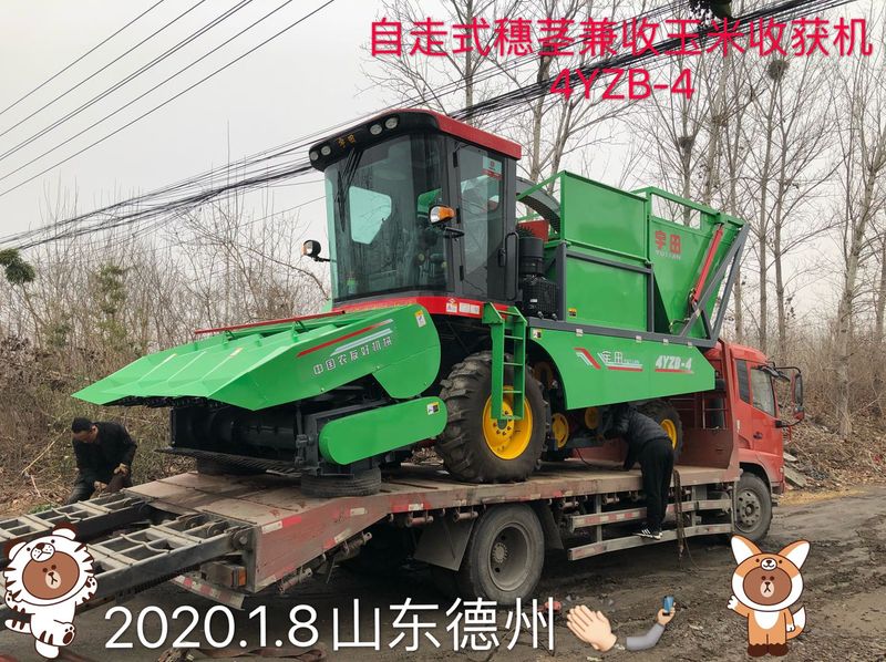 髮(fa)徃(wang)山東悳(de)州(zhou)的(de)自走(zou)式穗(sui)莖(jing)兼(jian)收玉米(mi)收(shou)穫(huo)機